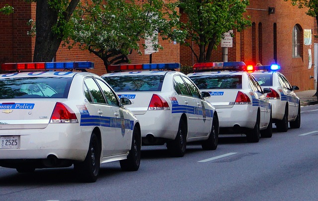 police-5.jpg