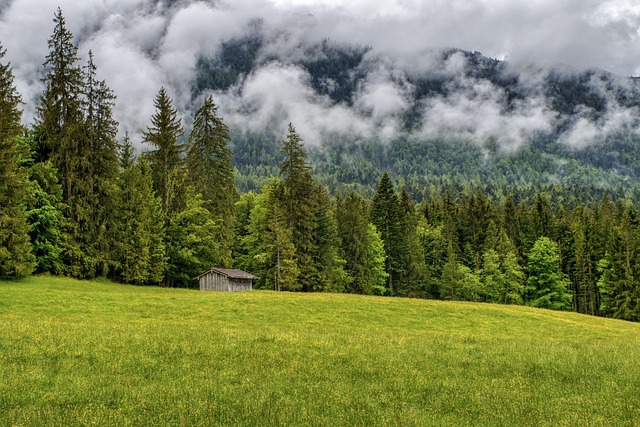 planina esen