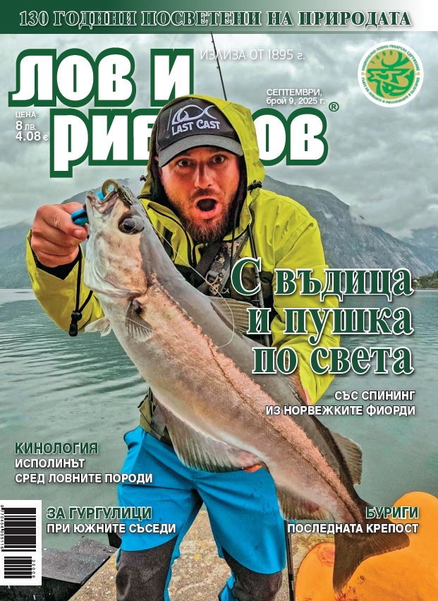 tomi-kaymakanov-2025.jpg