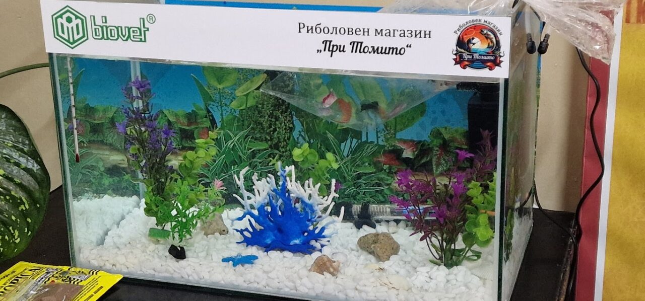 akvarium-darenie-uchilishta-ot-biovet-2026-5-1280x598.jpg